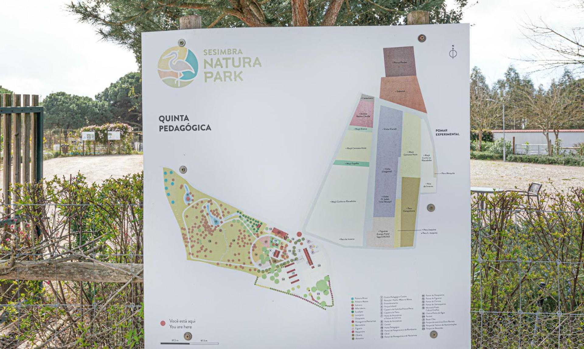 Willa Casa Do Pomar Sesimbra Zewnętrze zdjęcie