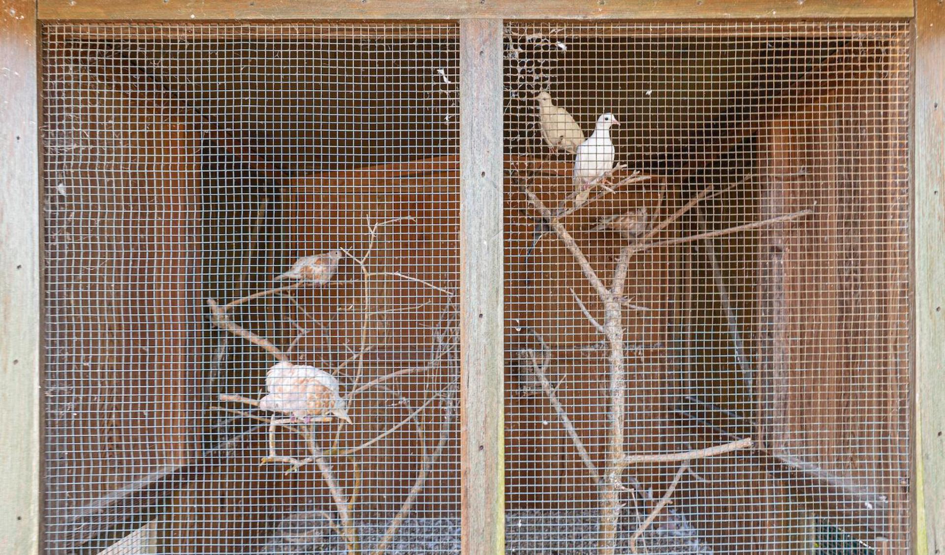 Willa Casa Do Pomar Sesimbra Zewnętrze zdjęcie